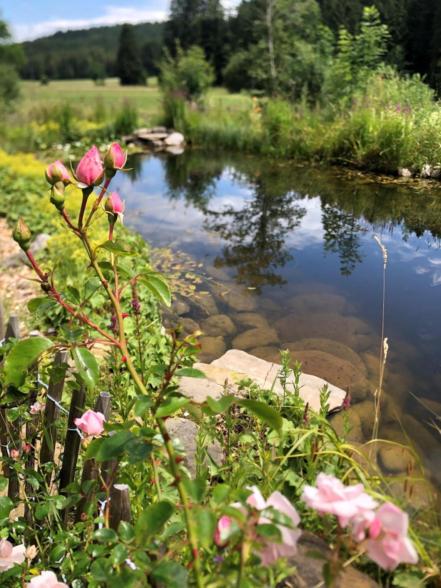 Natur- & Aktivoase Buchenberg  المظهر الخارجي الصورة
