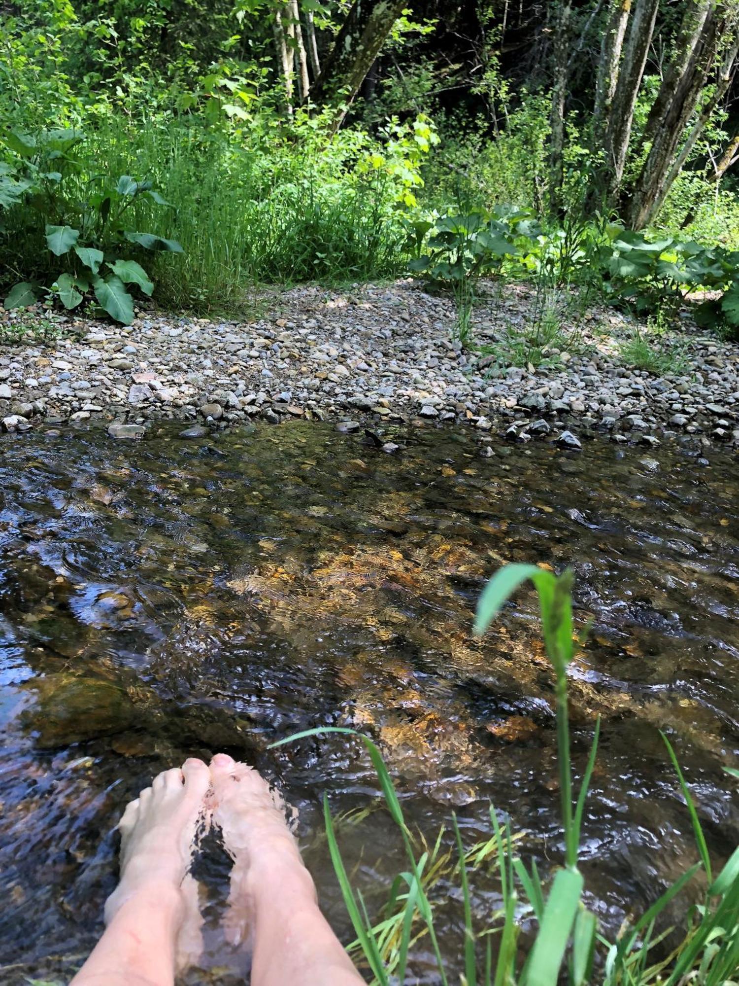 Natur- & Aktivoase Buchenberg  المظهر الخارجي الصورة